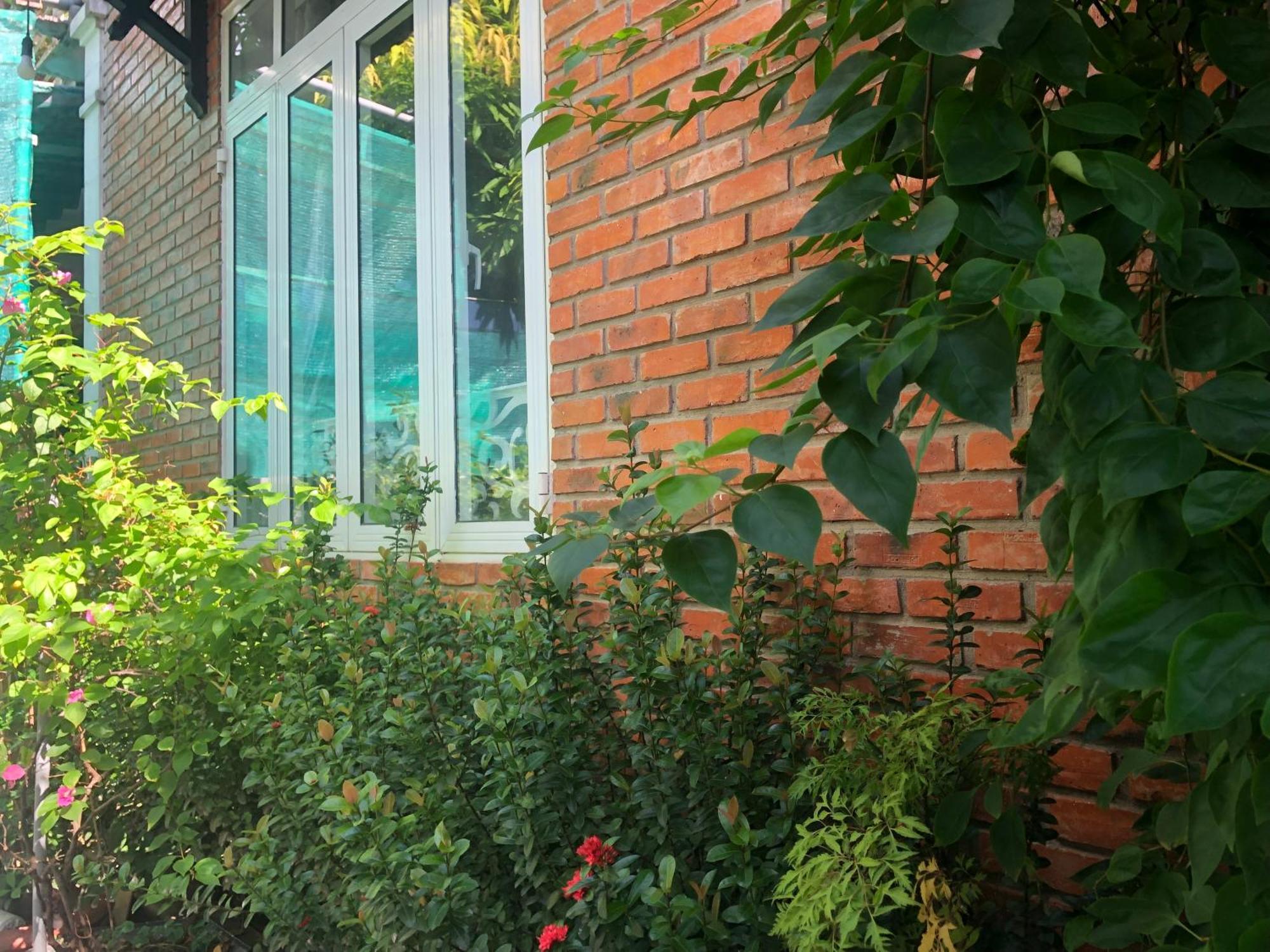 Q'Tropical Garden Homestay Hué Eksteriør billede